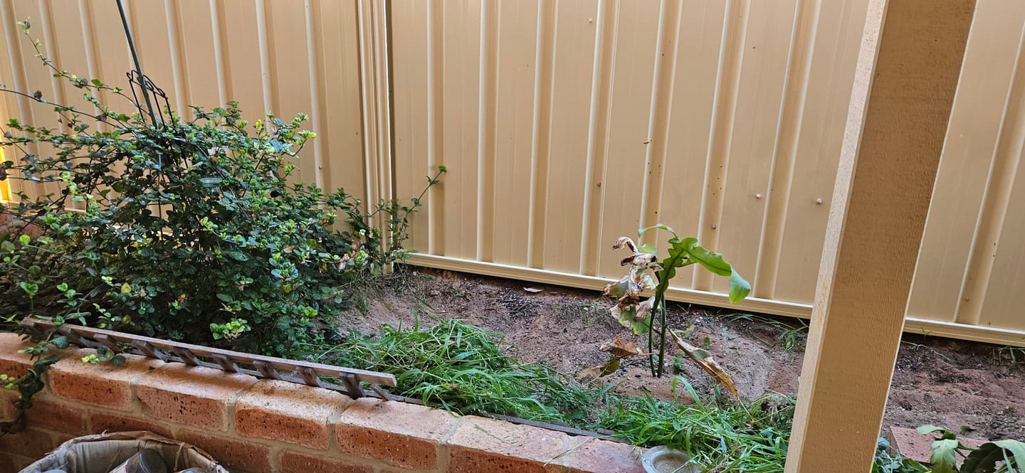 Customer photo review of GardenMate™ - Uprooting Tool Pro