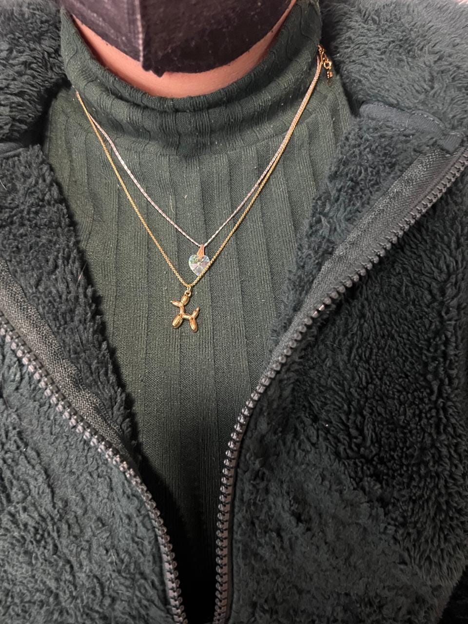 Customer photo review of Collar Doggy