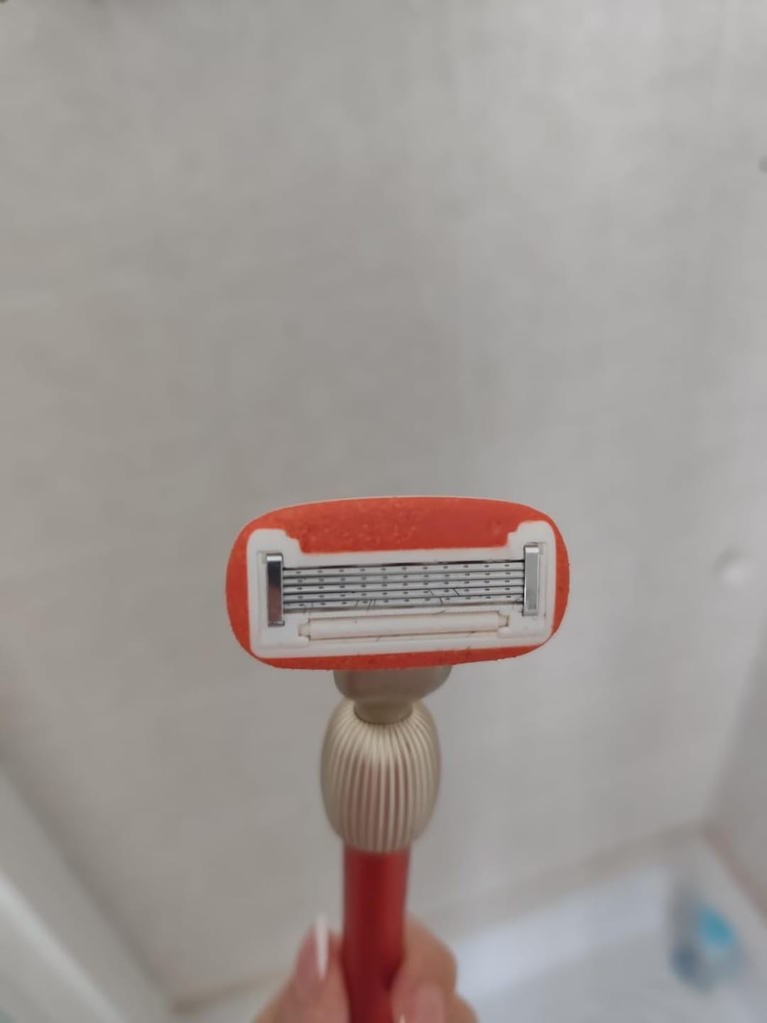 Customer photo review of The Razor Starter Set