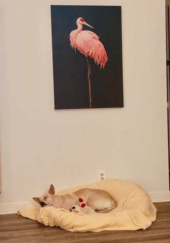 Customer photo review of Pink Crane on Blue Print