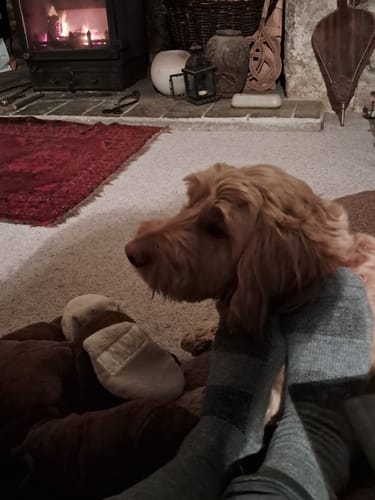 Customer photo review of Crew Socks