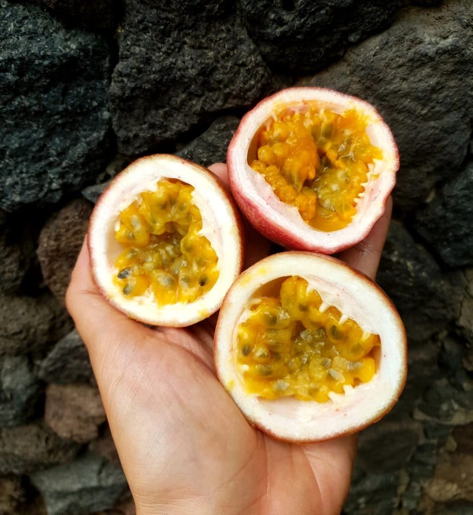 Customer photo review of "Passiflora Lovers" Maracuja-Mix Box