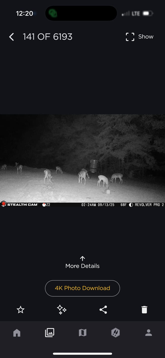Customer photo review of Antler IV Mineral Attractant