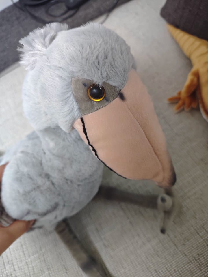 Customer photo review of Shoebill Bird Soft Plush Stuffed Animal Toy