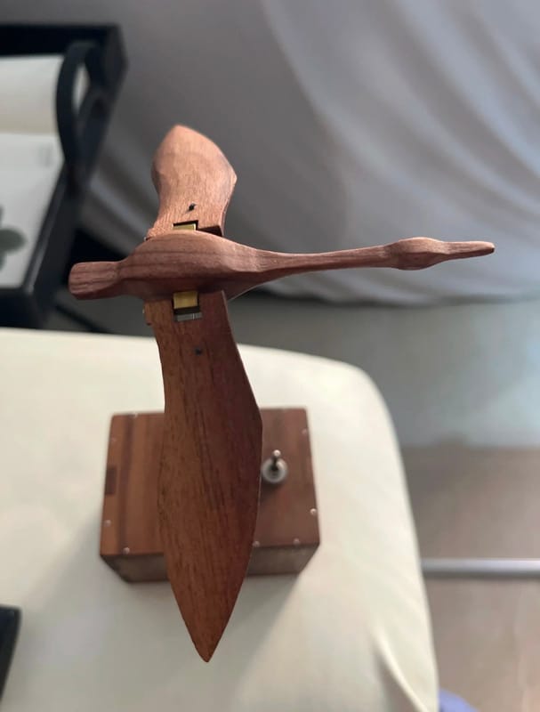 Customer photo review of Handcrafted Walnut Swan Automaton — Elegant Motion Art for Desk & Home