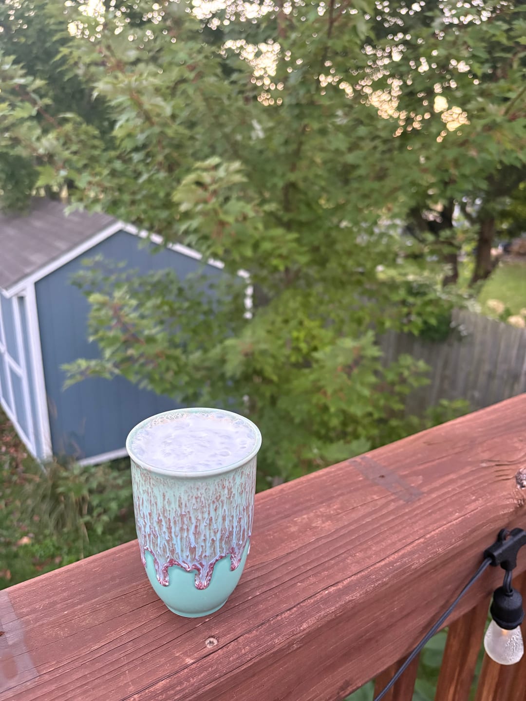 Customer photo review of Nebula Cup 12oz