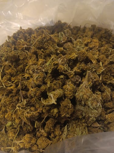 Customer photo review of THCA Flower Budget Buds