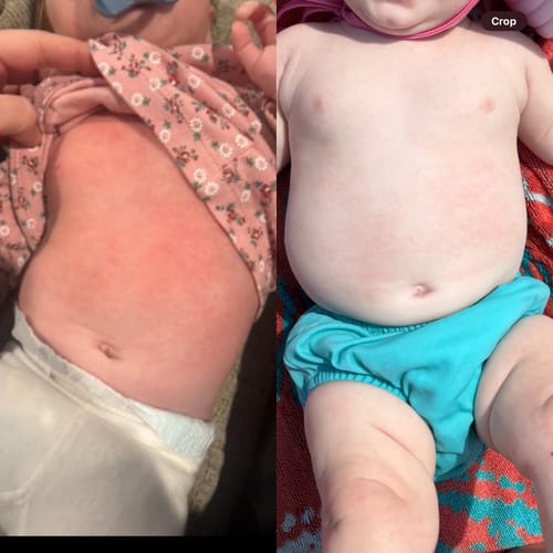 Customer photo review of The Regulars Bundle