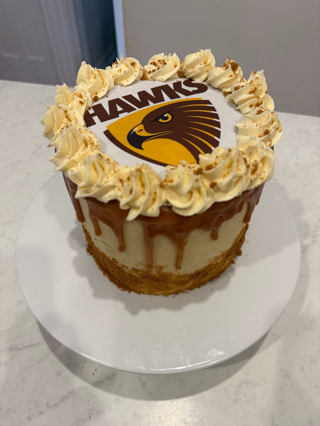 Customer photo review of Hawthorn Hawks AFL Club - Edible Icing Images