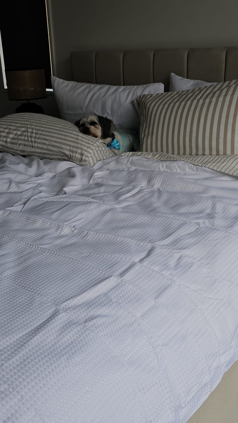Customer photo review of Muscle Mat Luxury Mattress Topper