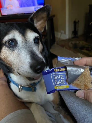 Customer photo review of VALUE PACK Salted Caramel Pretzel - 5 bars