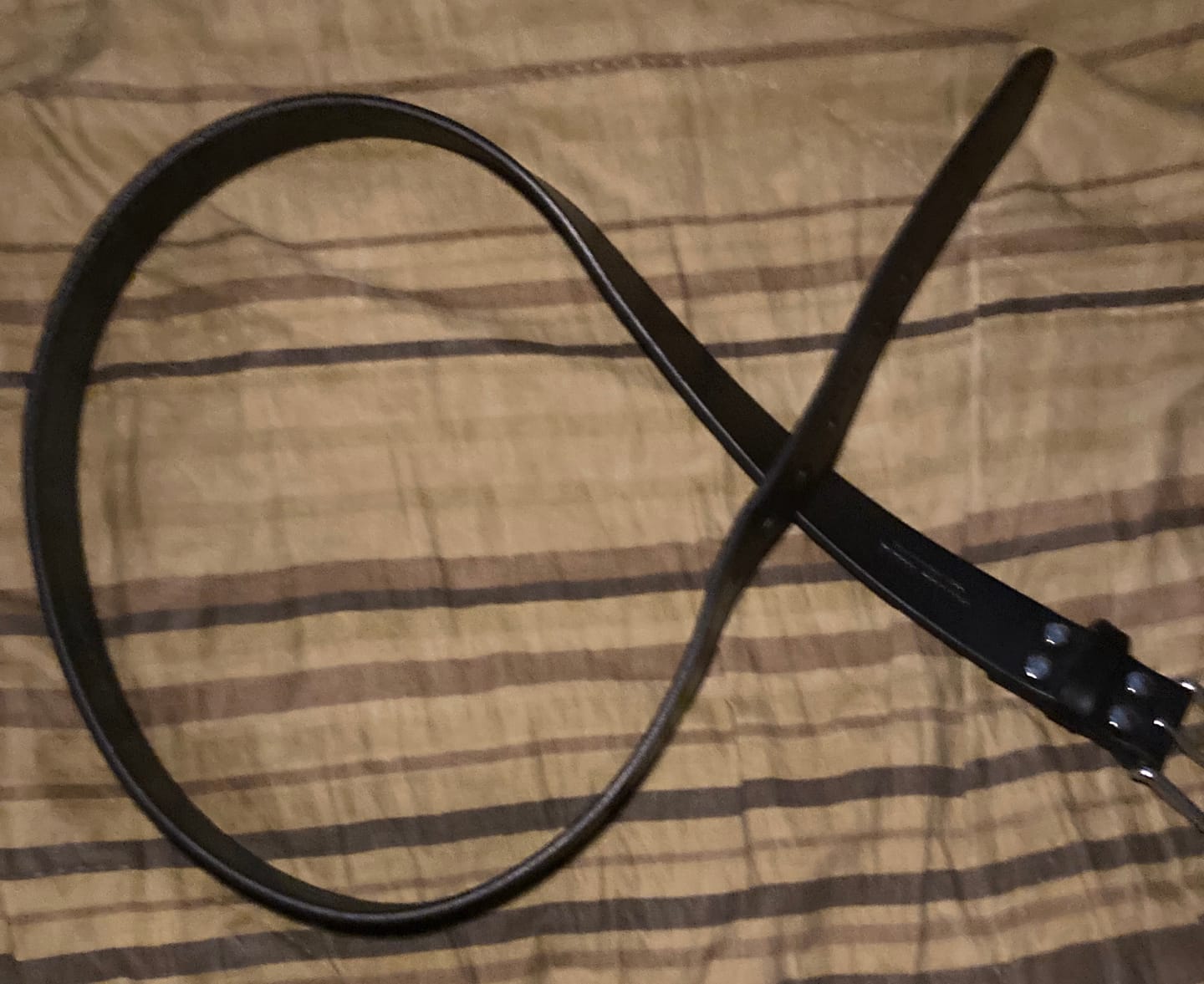 Customer photo review of The Everyday Belt