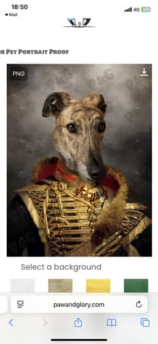 Customer photo review of The Colonel: Custom Pet Canvas