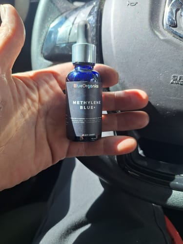 Leonidas T. review