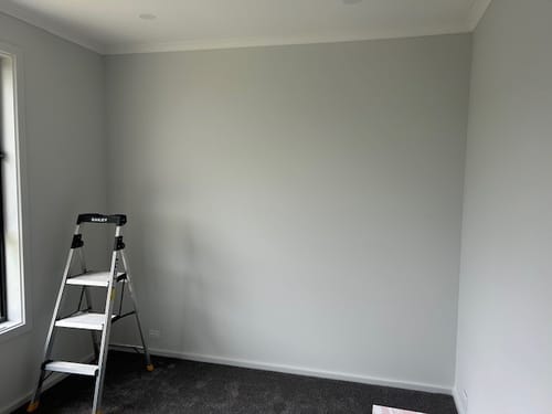 Customer photo review of Blush Graffiti Wallpaper