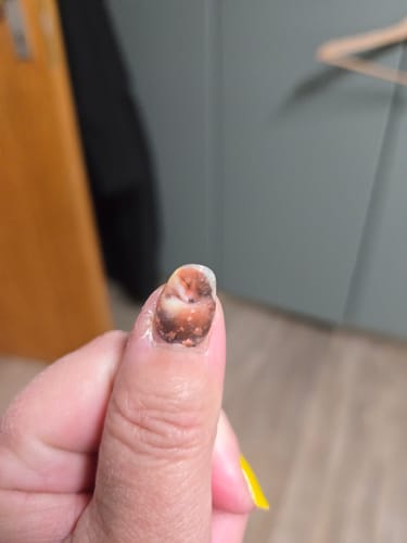 Tanja S. review of Evening Cozy image 1 out of 1