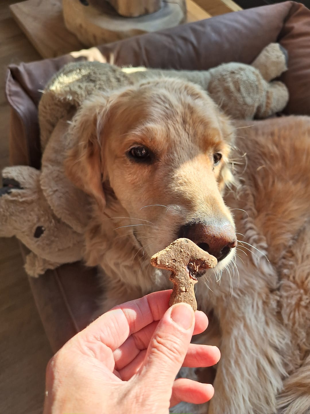 Customer photo review of Magische Mr. Pooh | Herfstkoek