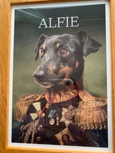 Customer photo review of The General - Custom Vintage Pet Portrait