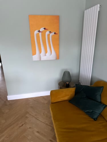 Customer photo review of Swans Print