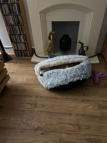 Customer photo review of Super Plush Cove Bed