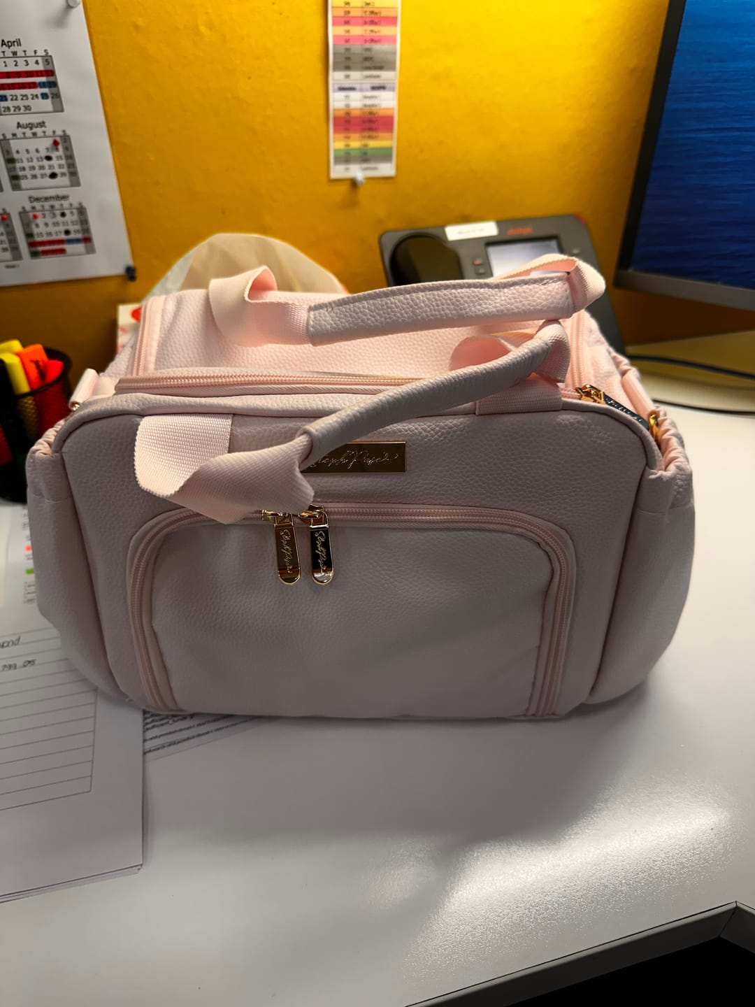 Customer photo review of Luxe Insulated Lunch Bag - Blush