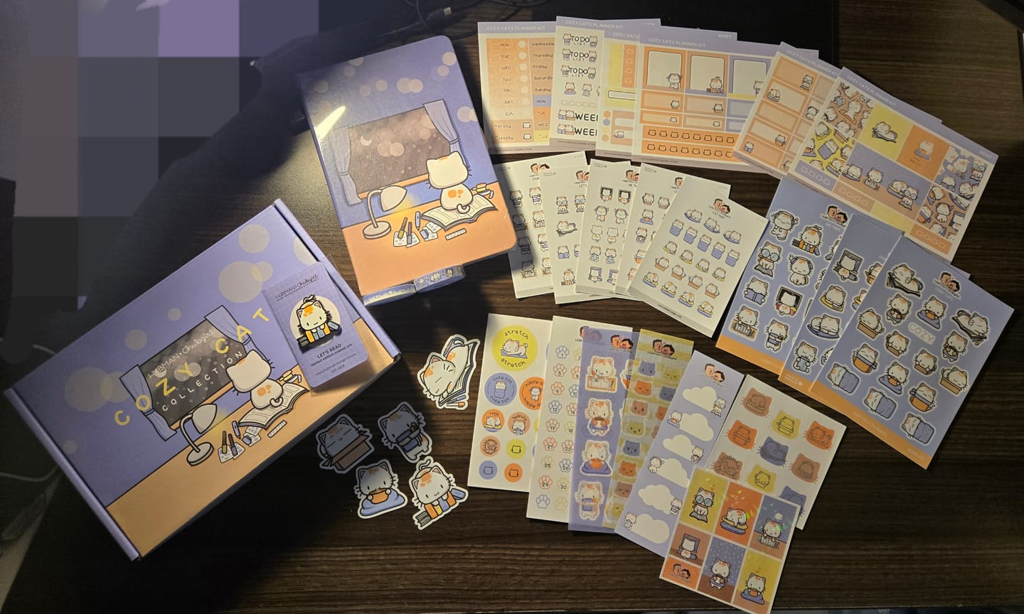 Customer photo review of Cozy Cat Box Set