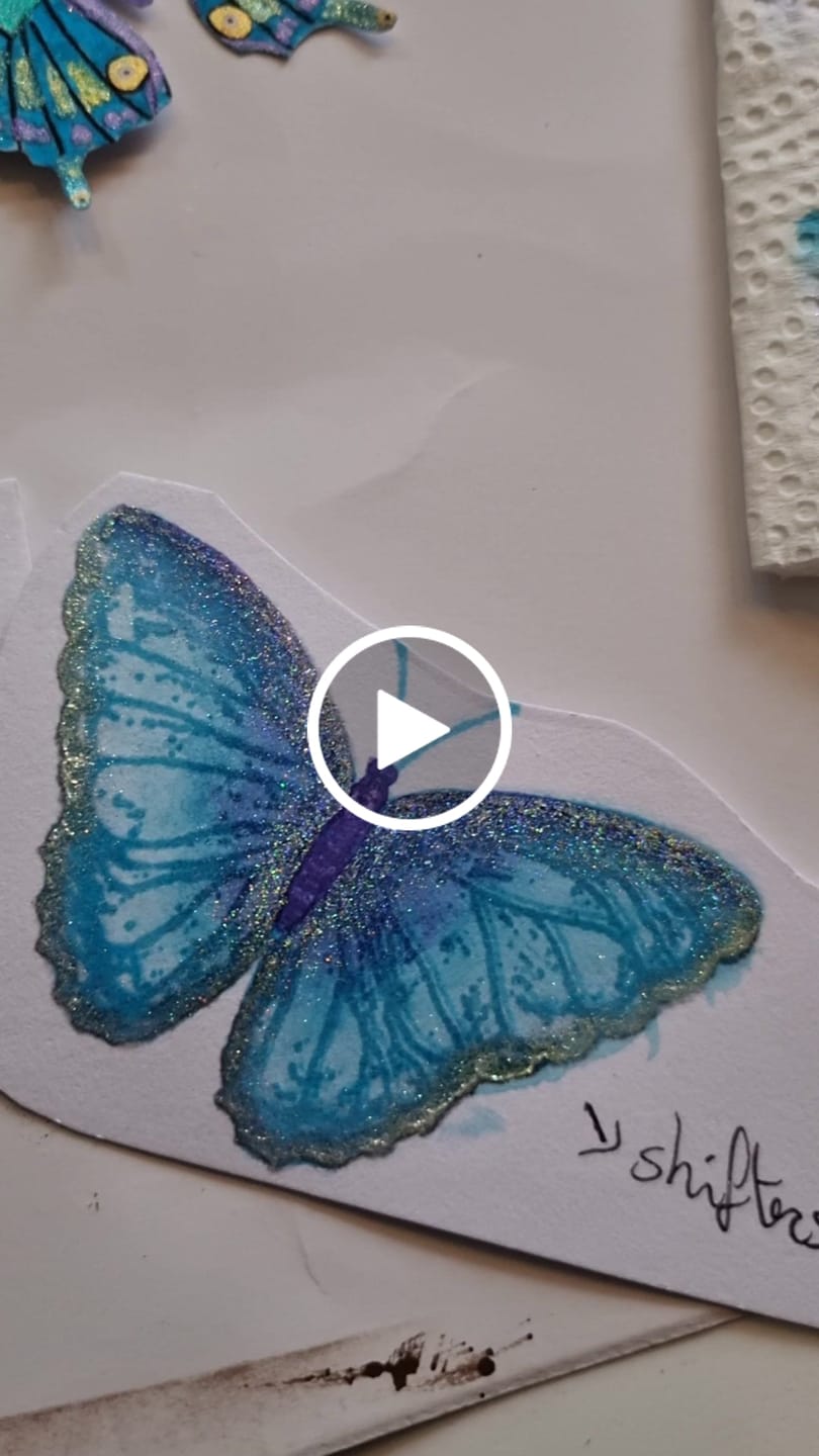 Customer video review of THE HOLO