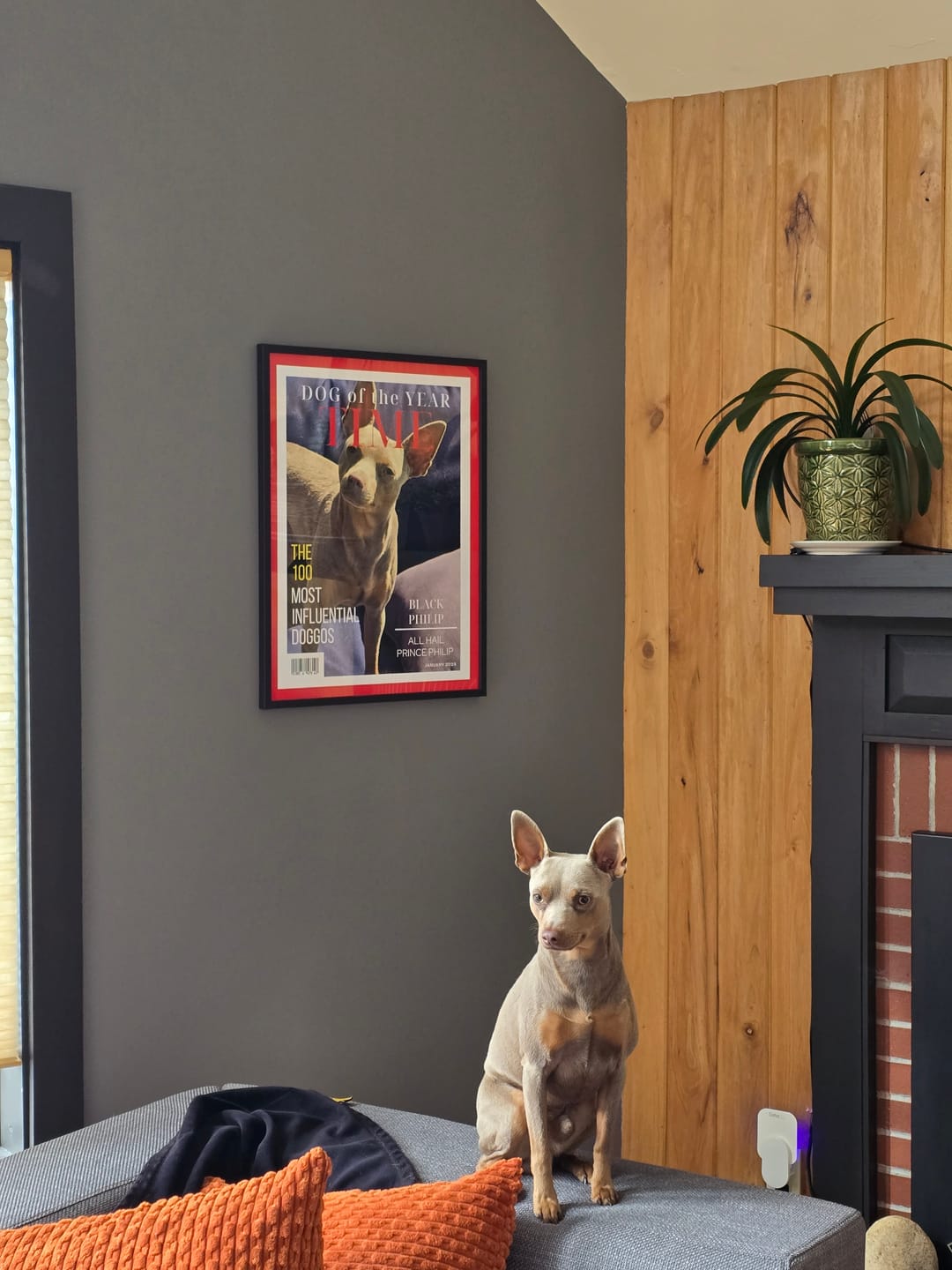 Customer photo review of Pet Portrait Magazine Cover