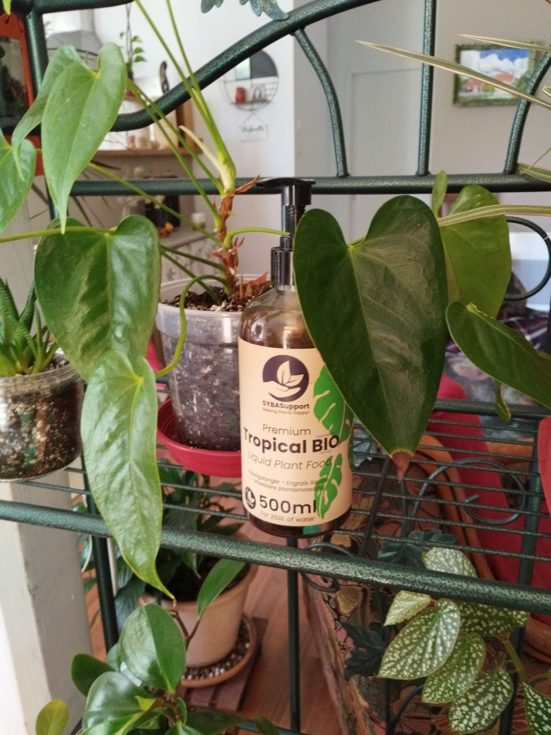 Customer photo review of Tropical BIO Liquid Plant Food