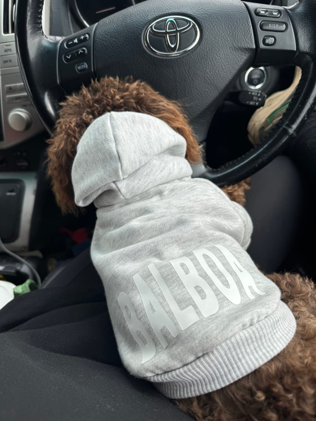 Customer photo review of Hoodie - Henry Grey