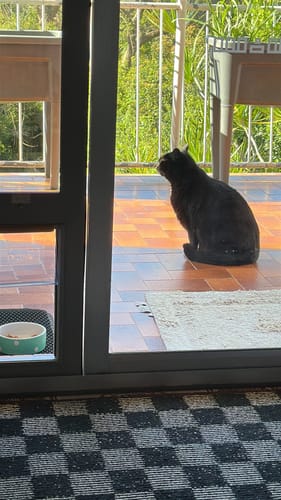 Customer photo review of Patio Pet Door Insert