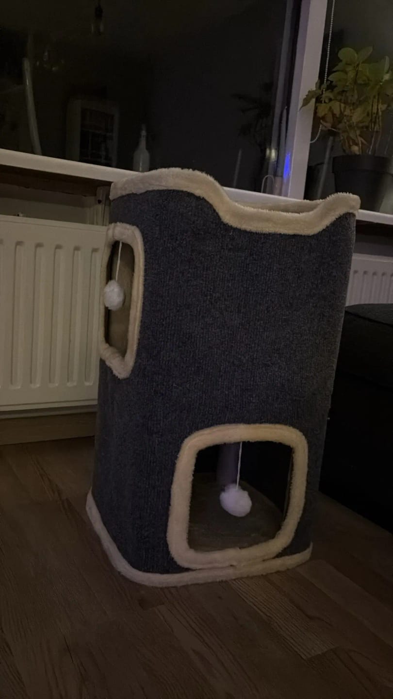 Customer photo review of 2-Layer Cat House – Rectangular Indoor Cat Cave with Hanging Toy, Cozy Double-Layer Bed for Cats