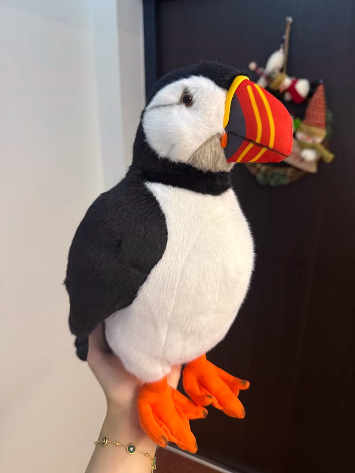 Customer photo review of Atlantic Puffin Plush Toy – Lifelike, Soft & Perfect for Bird Lovers