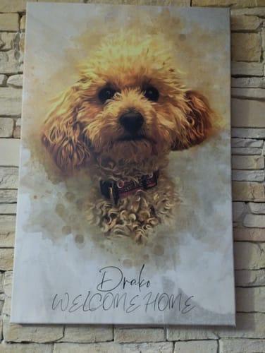 Customer photo review of Foto de tu mascota en estilo acuarela | Regalo para cachorros, perros y gatos