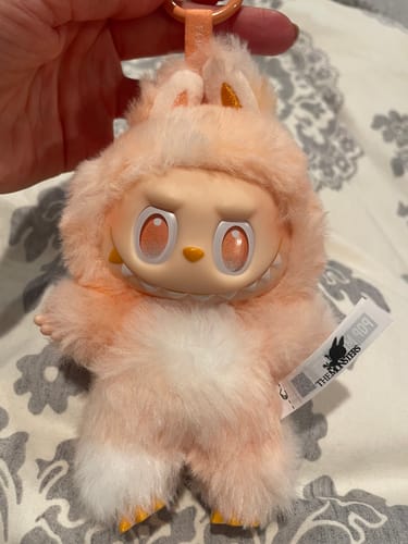 Customer photo review of Pop Mart The Monsters Big Into Energy Series Vinyl Plush Pendant Blind Box
