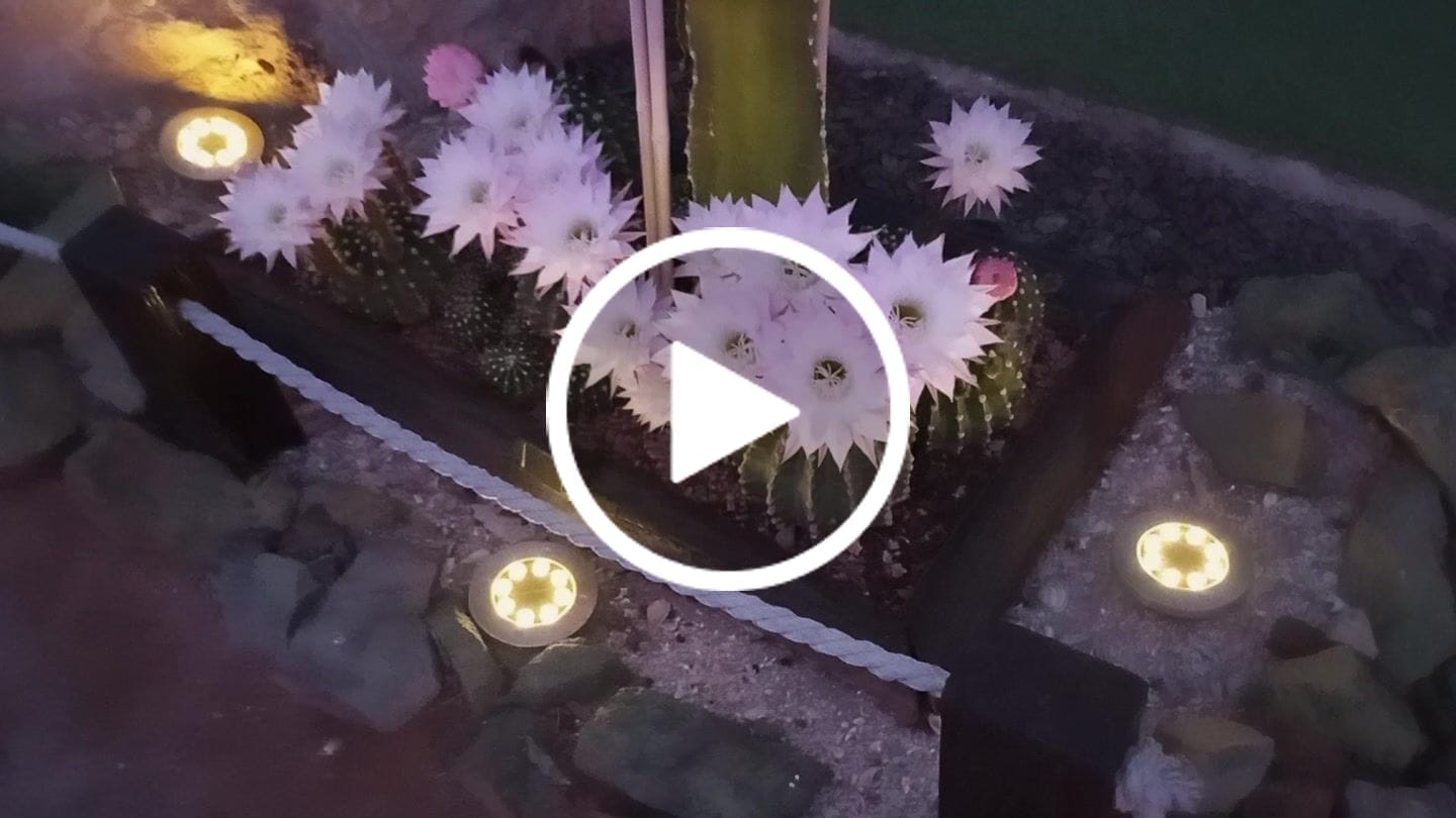 Customer video review of Set de 4 Estacas Acero Inoxidable Solar - Luz Cálida o Fría / IP65