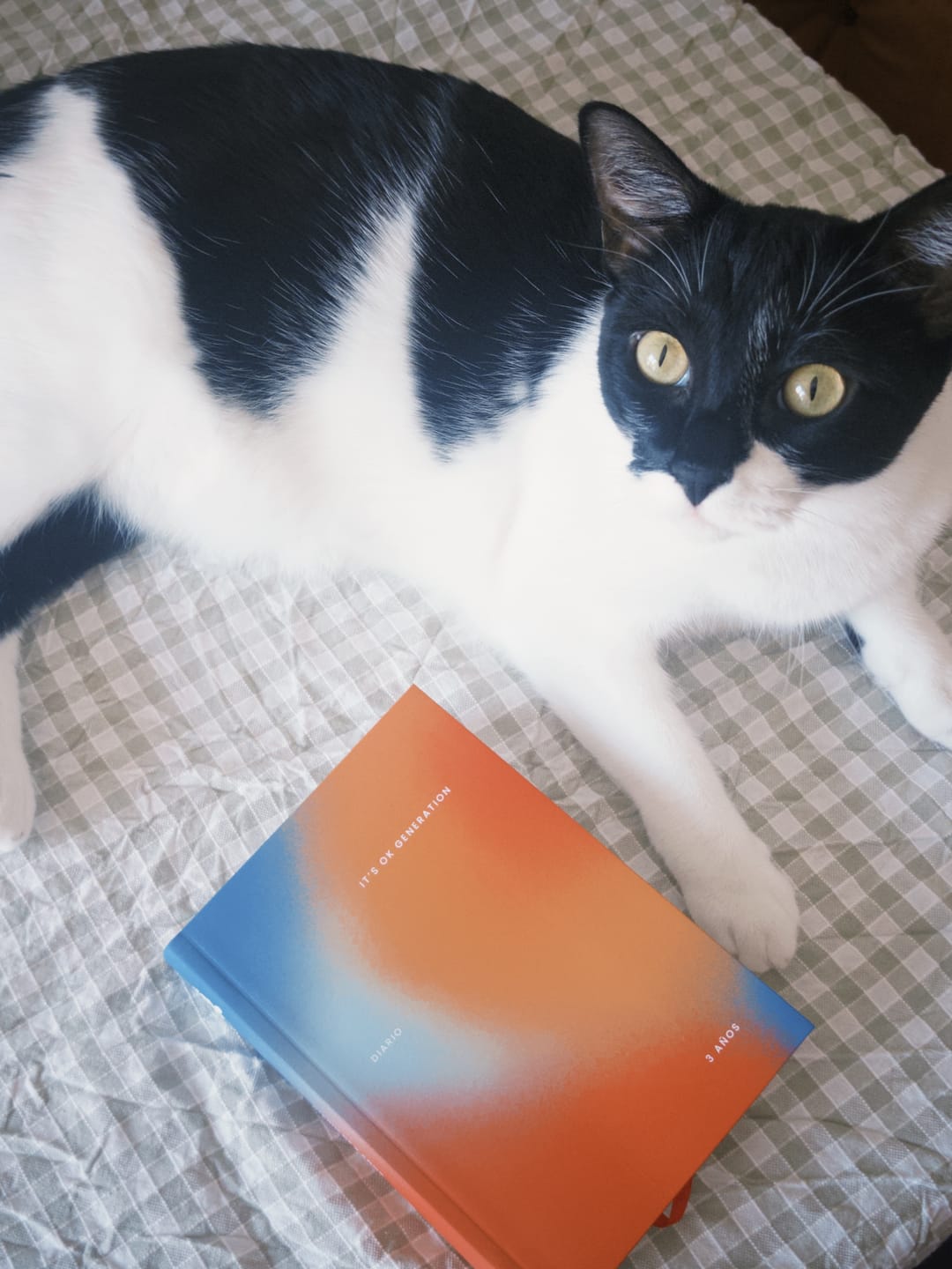 Customer photo review of Diario de 3 años | Portada Cometa