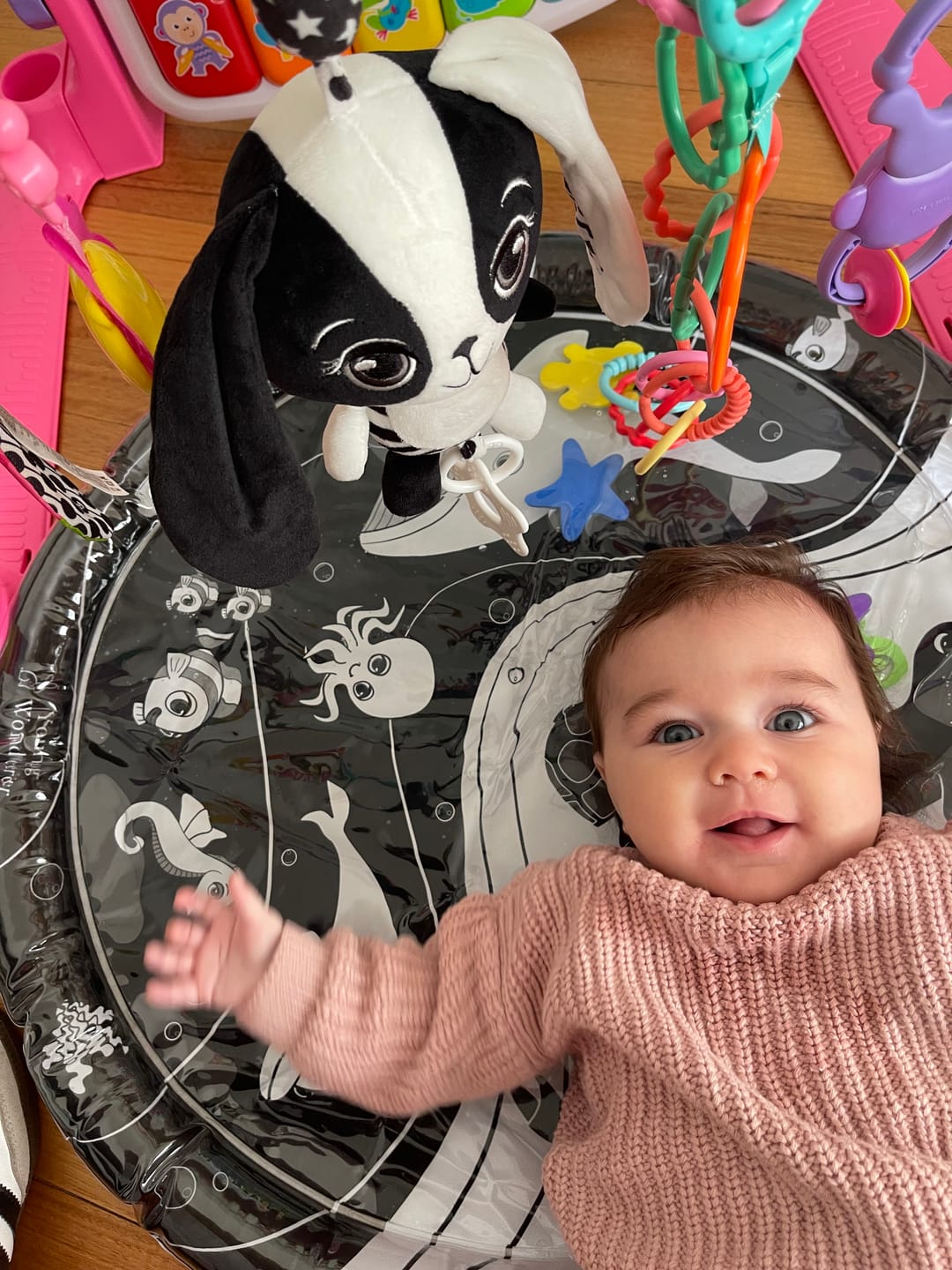 Customer photo review of Billie the Bunny – High Contrast Sensory Hanging Toy