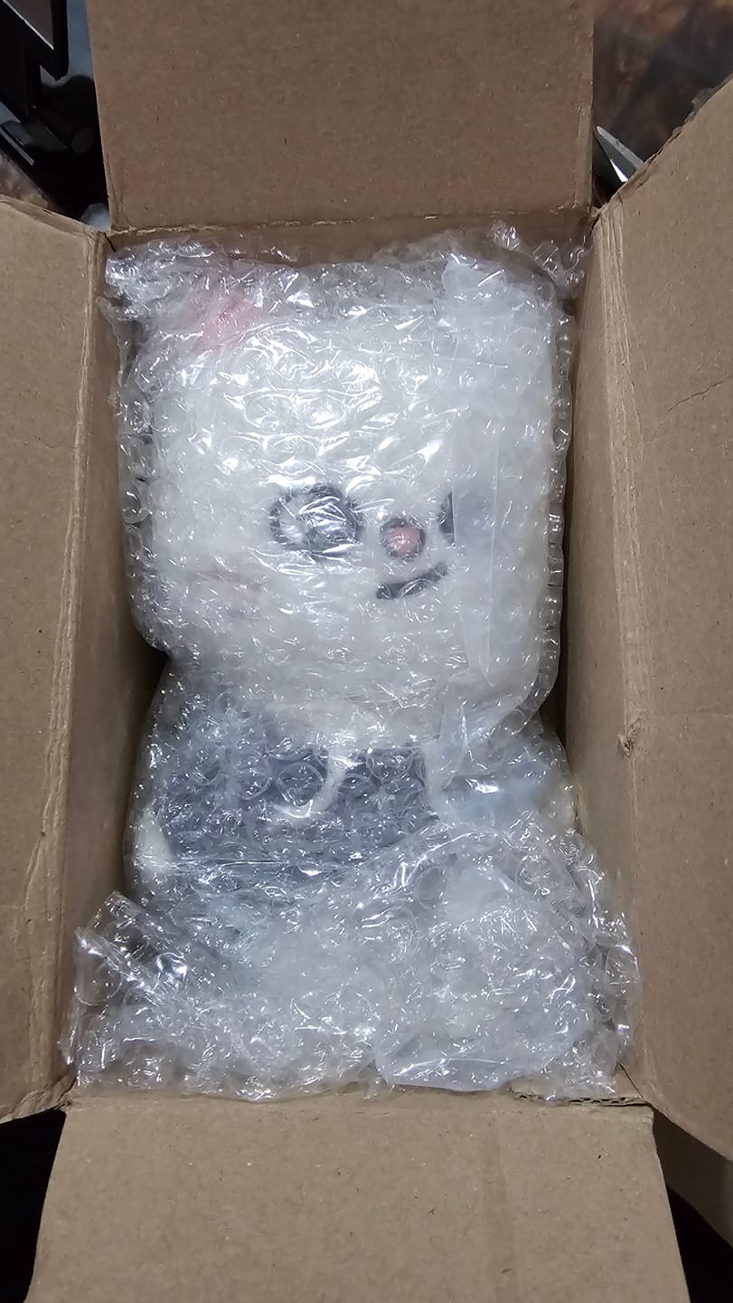 Customer photo review of STRAY KIDS - SKZ'S MAGIC SCHOOL OFFICIAL MD SKZOO PLUSH ORIGINAL VER.