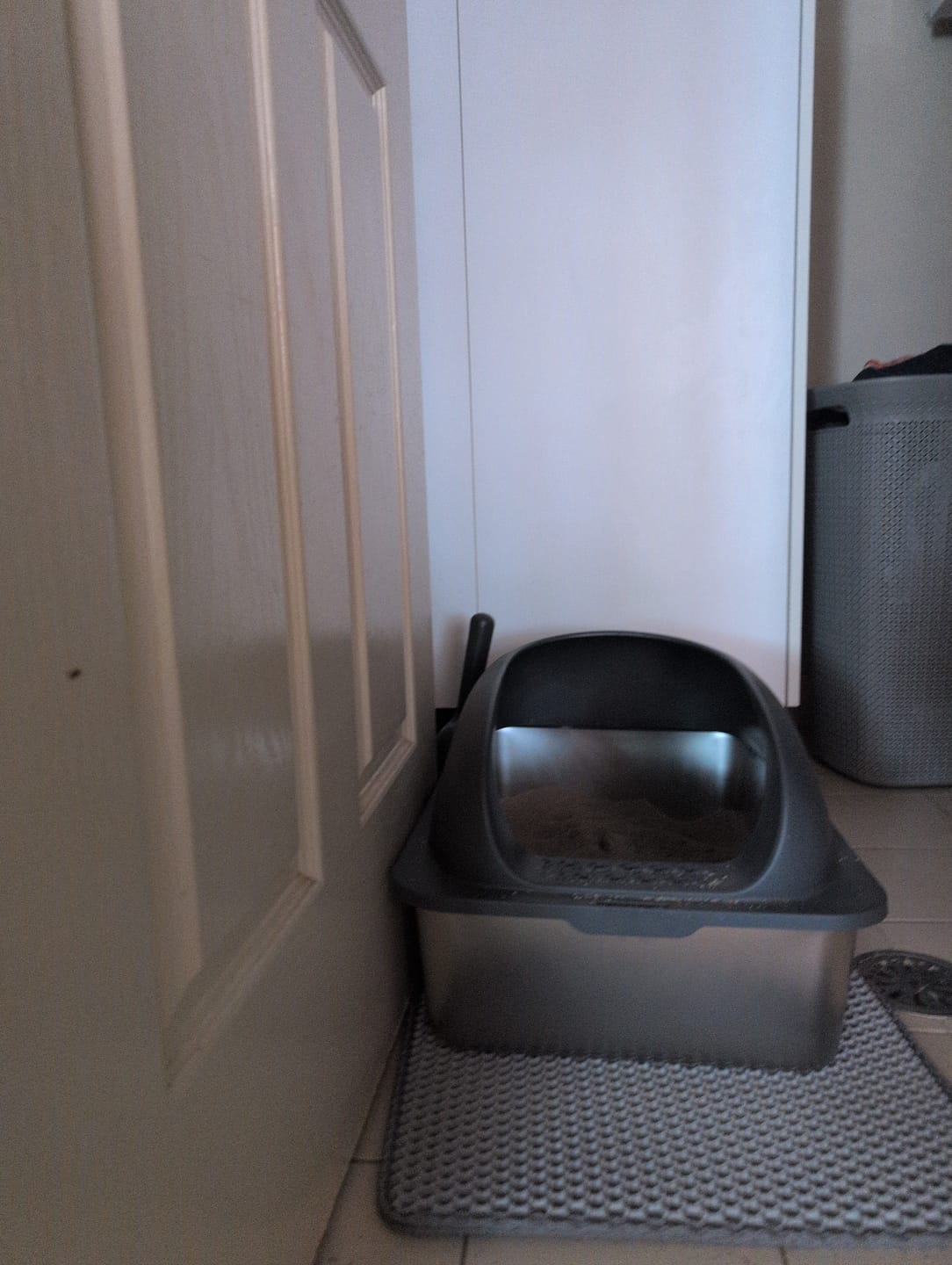 Customer photo review of Stainless Steel Cat Litter Box Large Semi-Enclosed