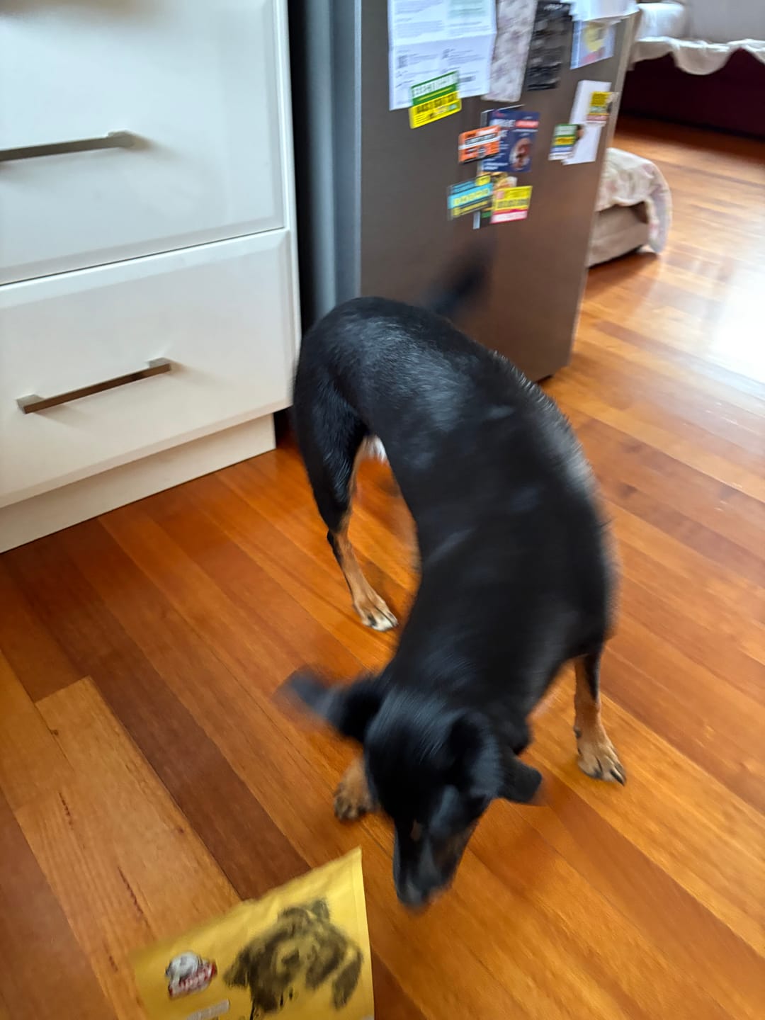 Customer photo review of Bugsy's Air-Dried Turkey