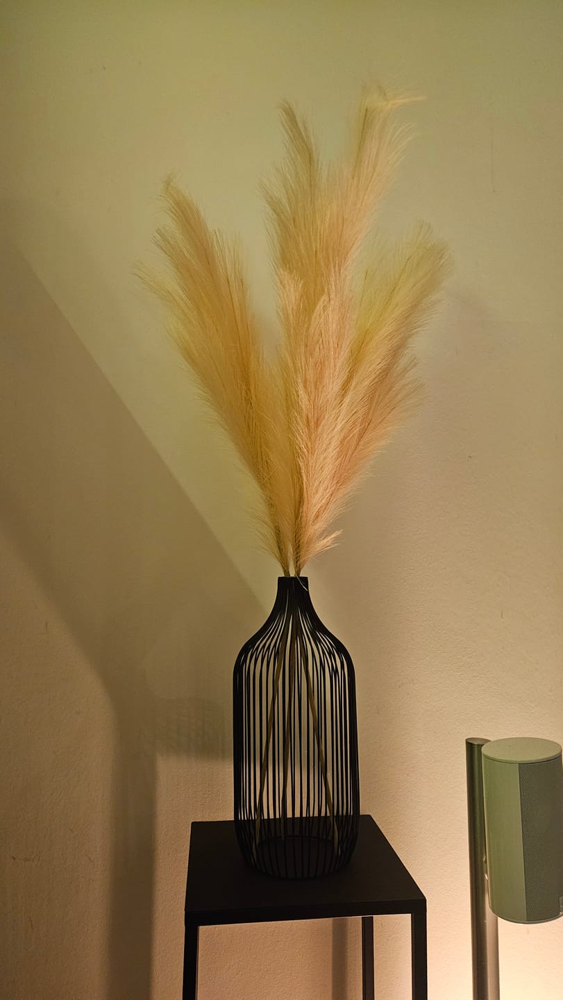 Customer photo review of Pampas 110cm (3 stengels)- Crème