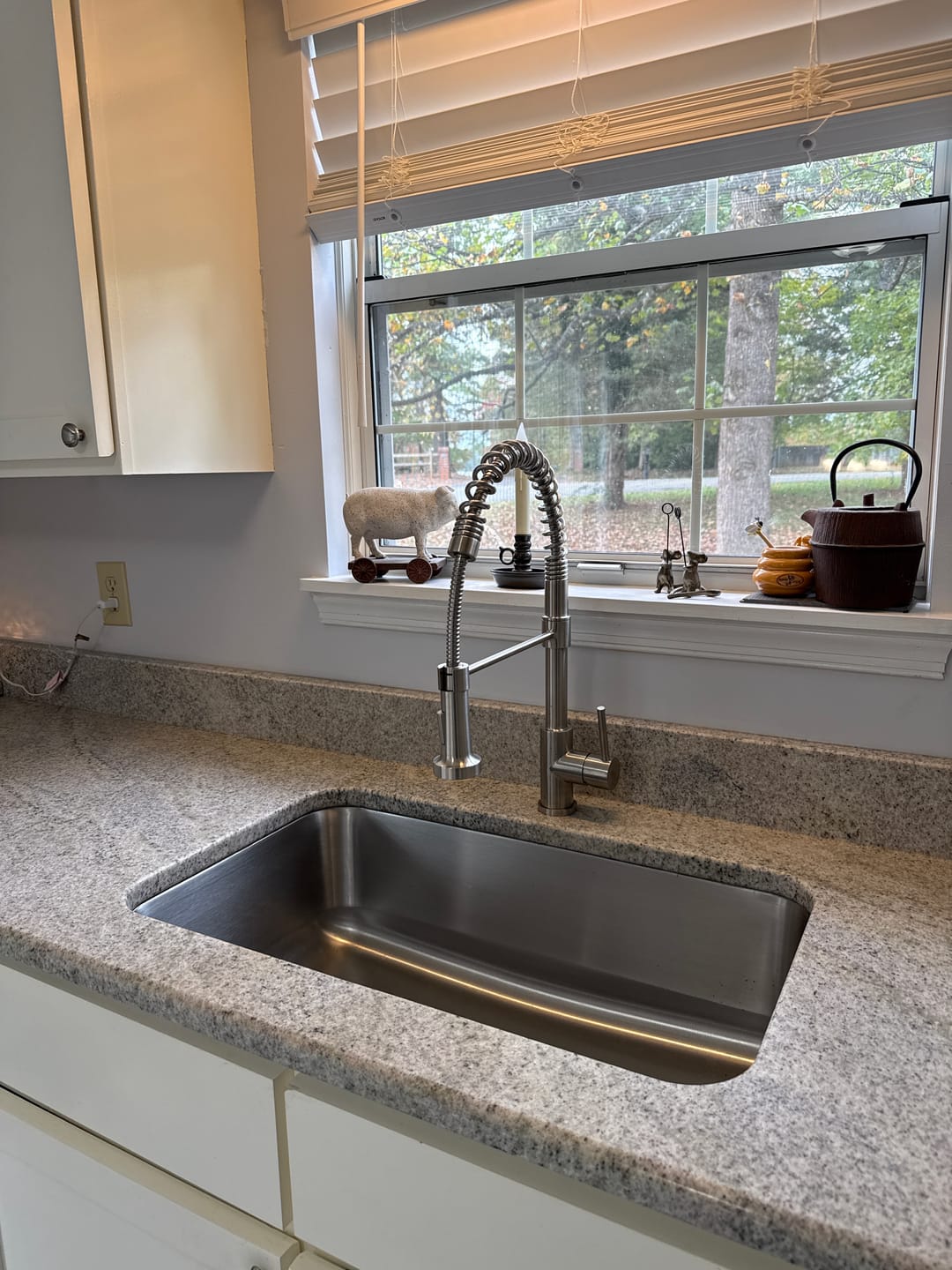 Customer photo review of Joey Kitchen Faucet