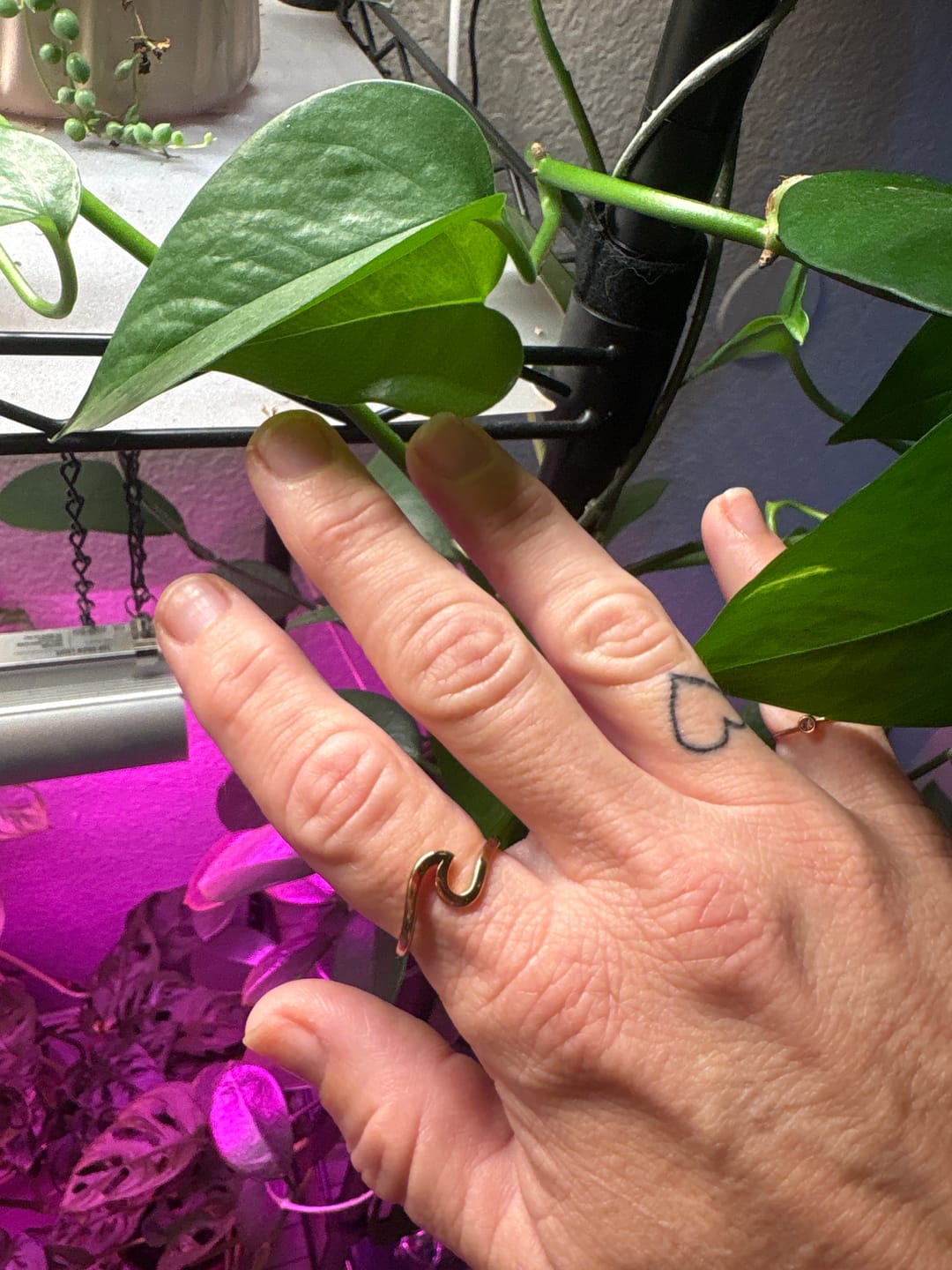 Customer photo review of Surfrider Ring (Bundle)