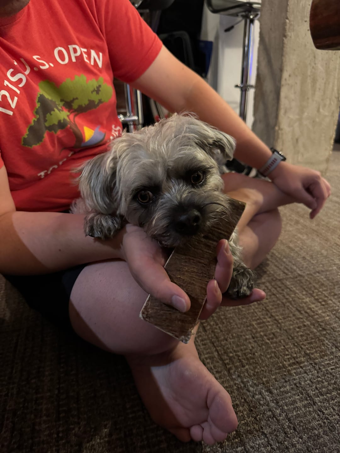 Customer photo review of Medium Moose Chew