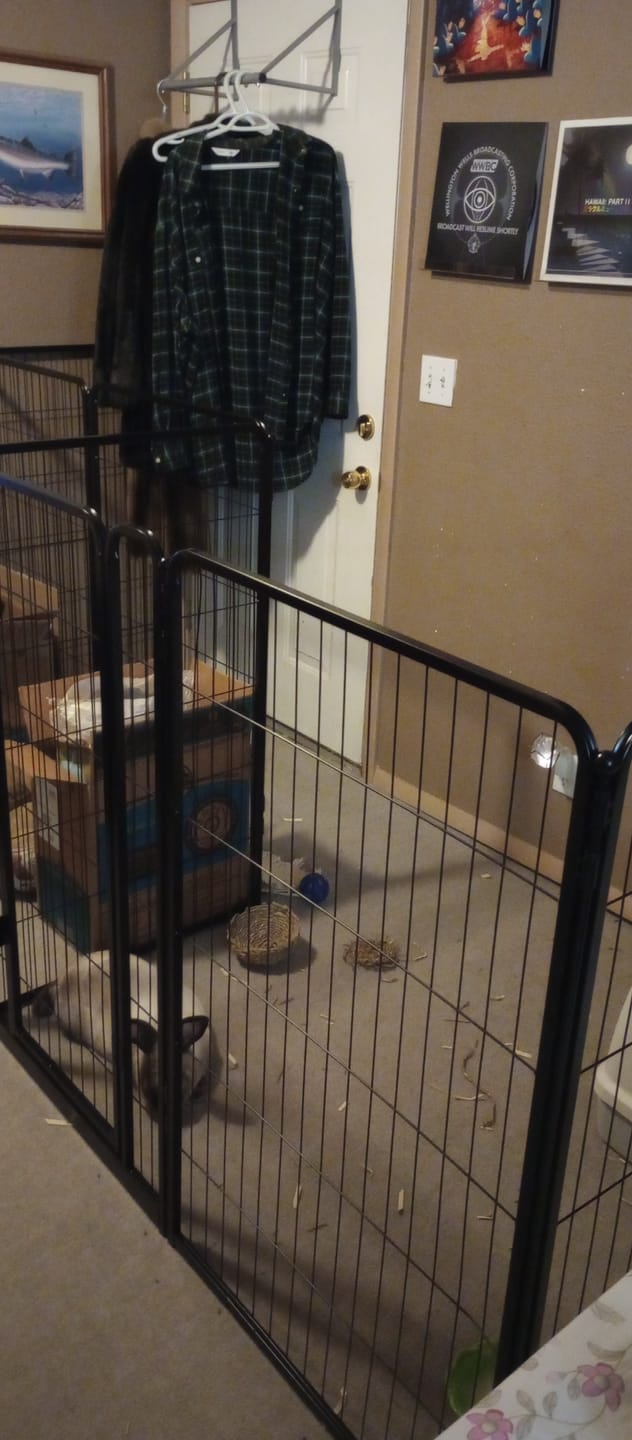 Customer photo review of Homeplus Dog Playpen for Indoor Use
