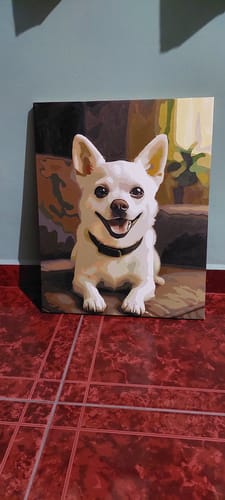 Customer photo review of Custom Paint By Numbers Kit