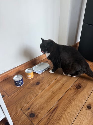 Customer photo review of Patsli Immune