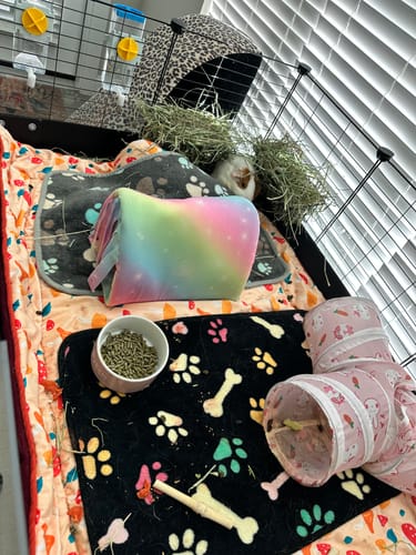 Customer photo review of Set of 2 Fleece Liners Bundle | Mushroom