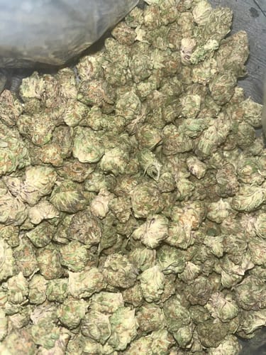 Customer photo review of Blueberry Headband Mediums - Bulk Mediums - Hybrid